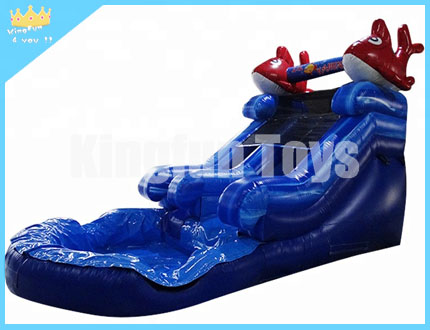 Red dolphin water slide